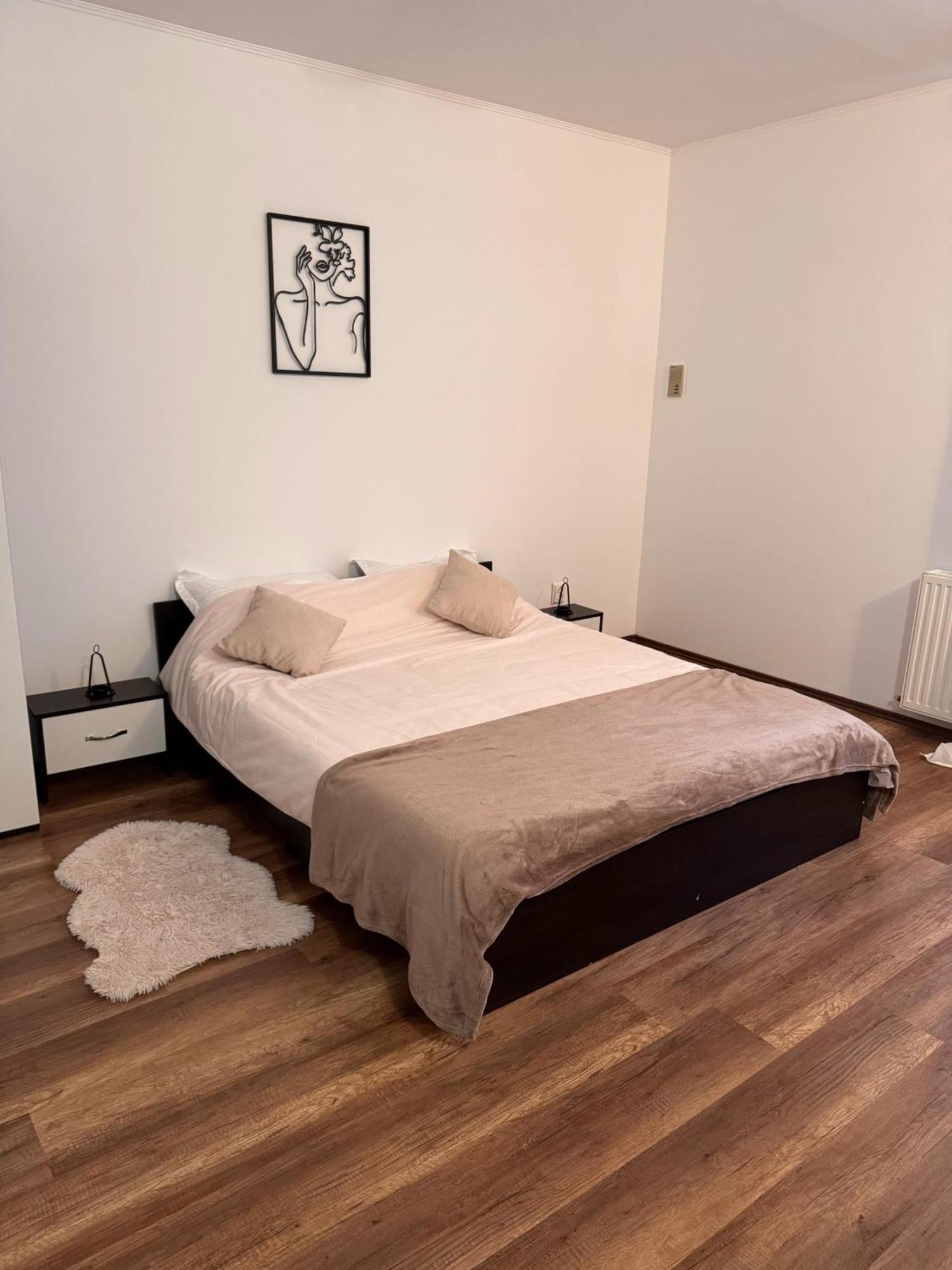 Madalina'S House Apartment Brasov Ngoại thất bức ảnh