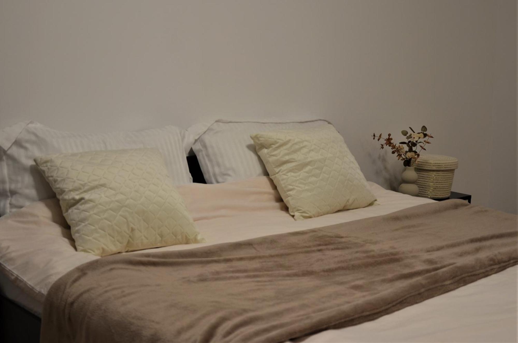 Madalina'S House Apartment Brasov Ngoại thất bức ảnh
