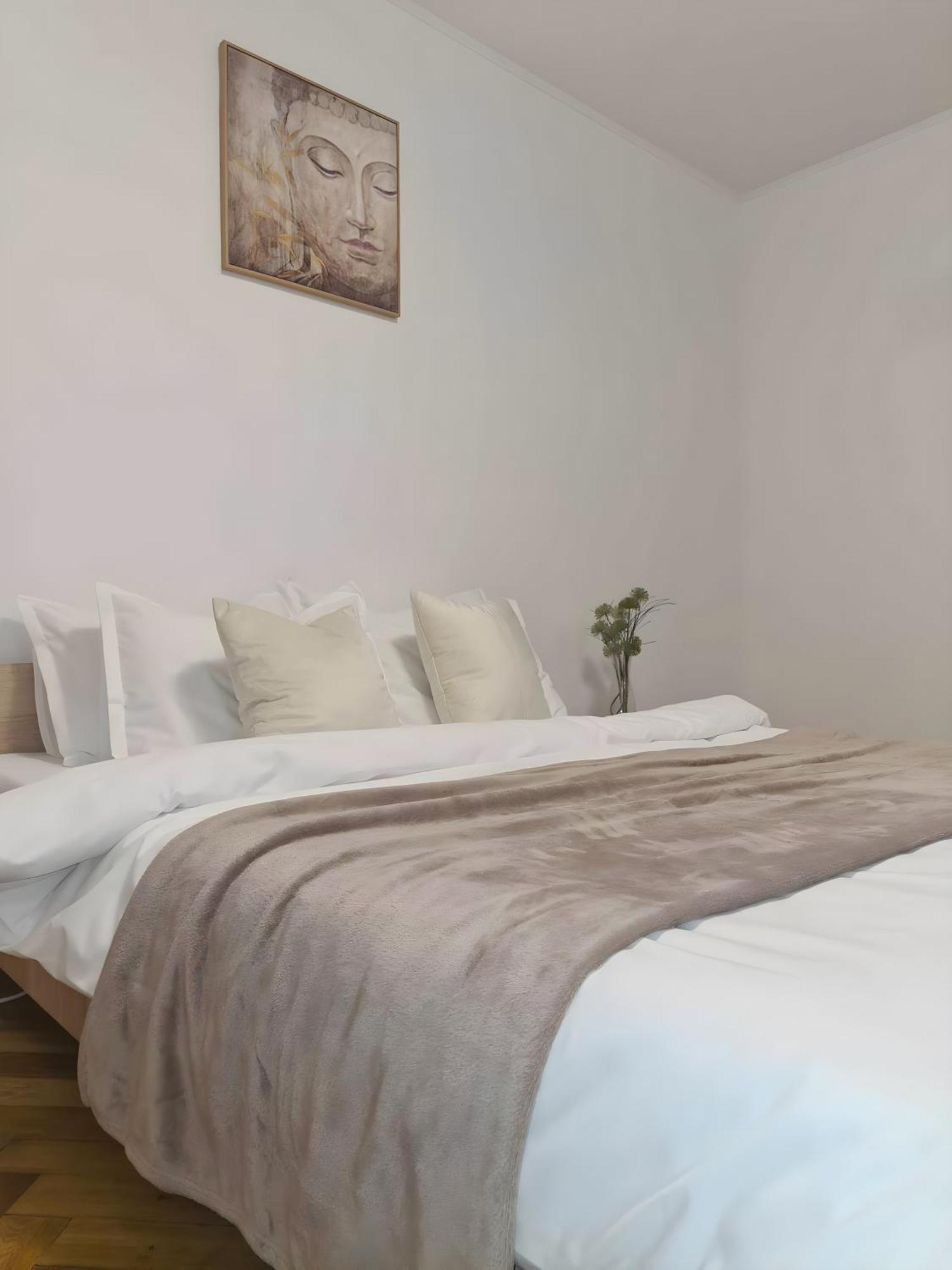 Madalina'S House Apartment Brasov Ngoại thất bức ảnh